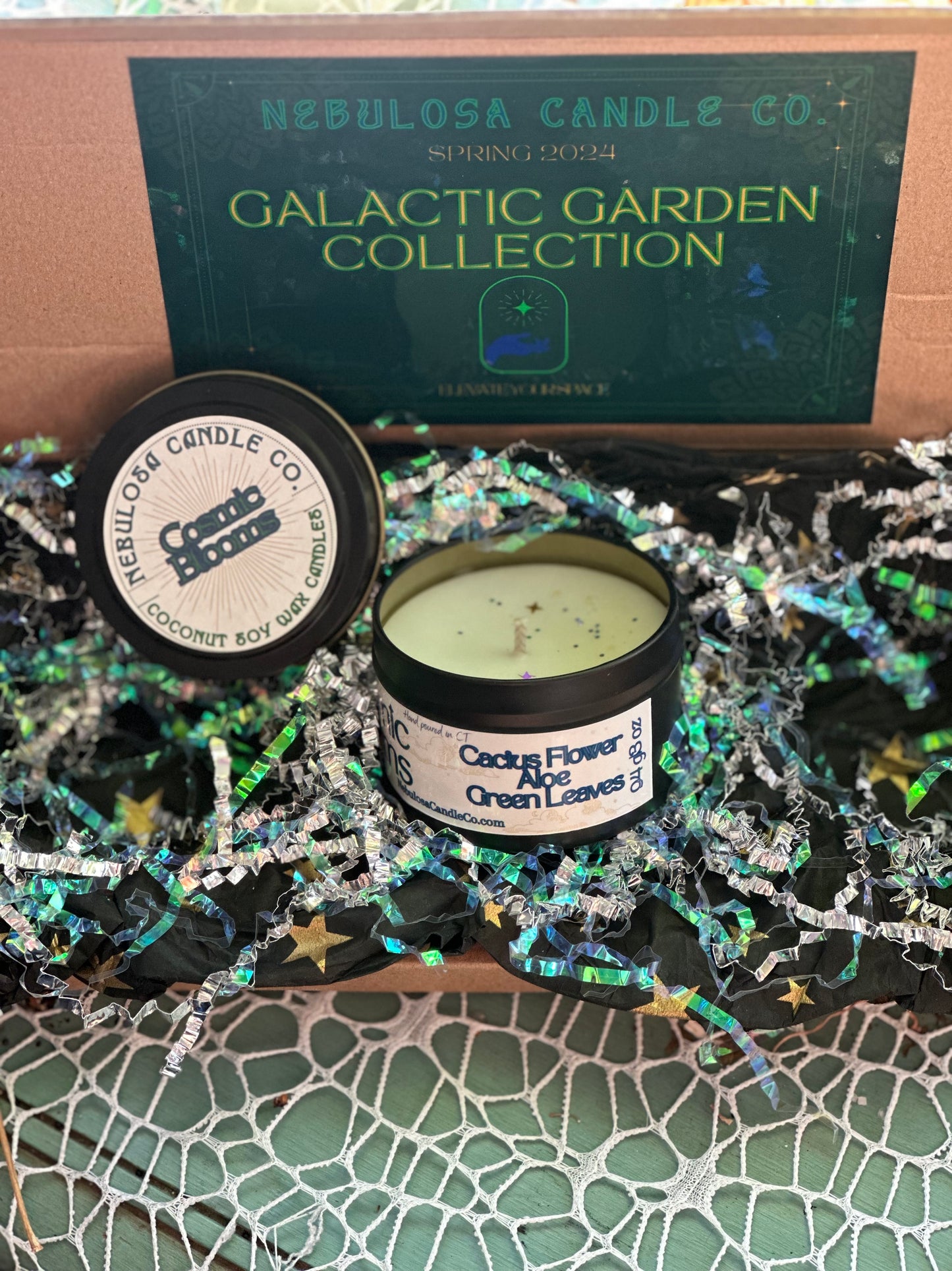 Cosmic Blooms | Cactus Flower | Aloe | Green Leaves
